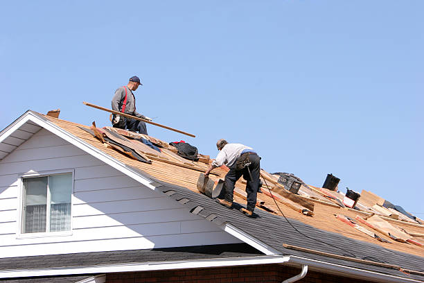 Best Metal Roofing Installation  in Albany, MN